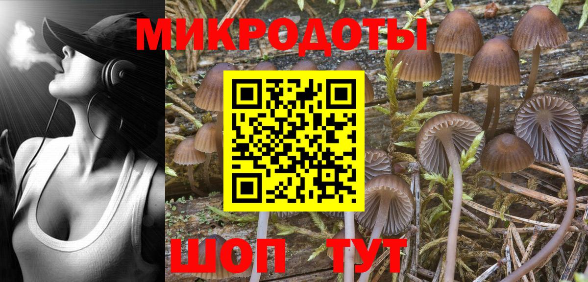 Псилоцибиновые грибы Psilocybine cubensis  Вход с VPN  где найти наркотики  Георгиевск 